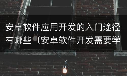 安卓软件应用开发的入门途径有哪些（安卓软件开发需要学什么软件）