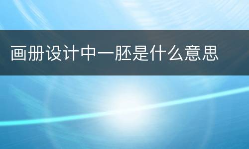 画册设计中一胚是什么意思