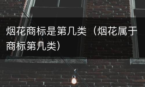 烟花商标是第几类（烟花属于商标第几类）