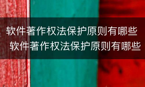 软件著作权法保护原则有哪些 软件著作权法保护原则有哪些