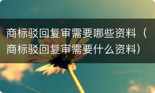商标驳回复审需要哪些资料（商标驳回复审需要什么资料）