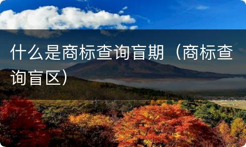 什么是商标查询盲期（商标查询盲区）