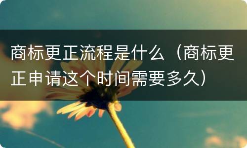 商标更正流程是什么（商标更正申请这个时间需要多久）