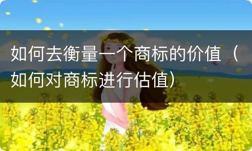 如何去衡量一个商标的价值（如何对商标进行估值）