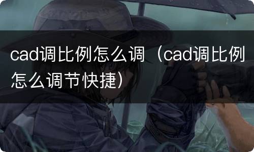 cad调比例怎么调（cad调比例怎么调节快捷）