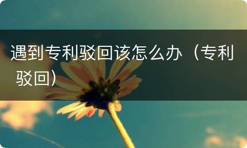 遇到专利驳回该怎么办（专利 驳回）