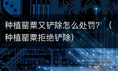 种植罂粟又铲除怎么处罚？（种植罂粟拒绝铲除）