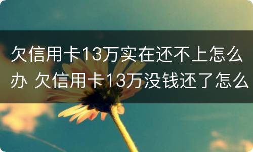 欠信用卡13万实在还不上怎么办 欠信用卡13万没钱还了怎么办啊