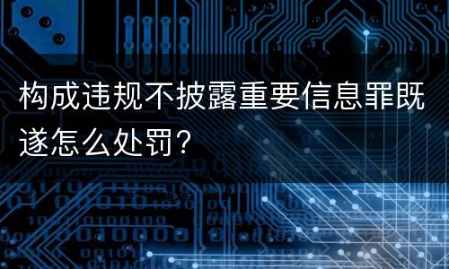构成违规不披露重要信息罪既遂怎么处罚?