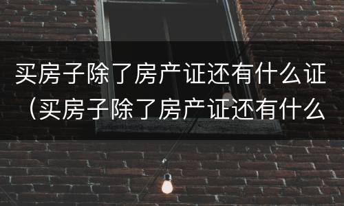 买房子除了房产证还有什么证（买房子除了房产证还有什么证明）