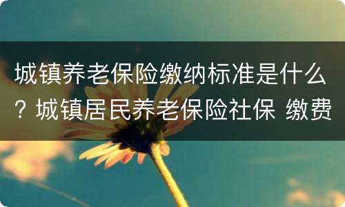 城镇养老保险缴纳标准是什么? 城镇居民养老保险社保 缴费标准是多少