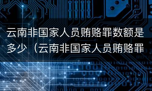 云南非国家人员贿赂罪数额是多少（云南非国家人员贿赂罪数额是多少钱）