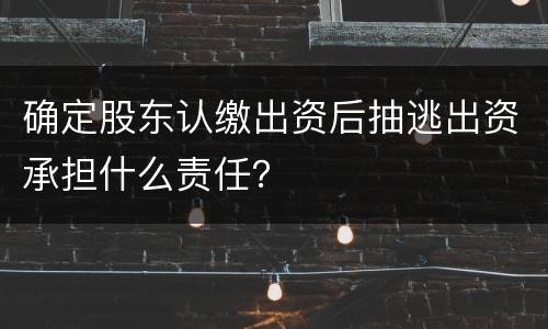 确定股东认缴出资后抽逃出资承担什么责任？