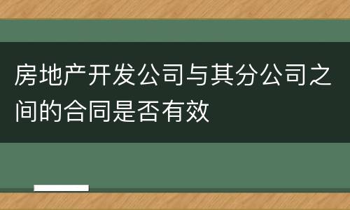 房地产开发公司与其分公司之间的合同是否有效
