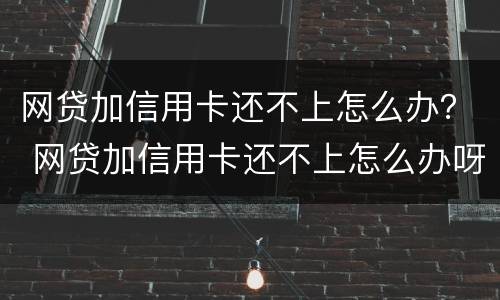 网贷加信用卡还不上怎么办？ 网贷加信用卡还不上怎么办呀