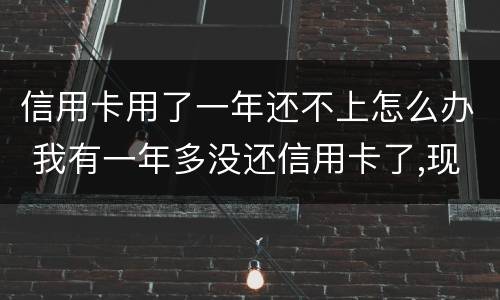 信用卡用了一年还不上怎么办 我有一年多没还信用卡了,现在要还怎么办