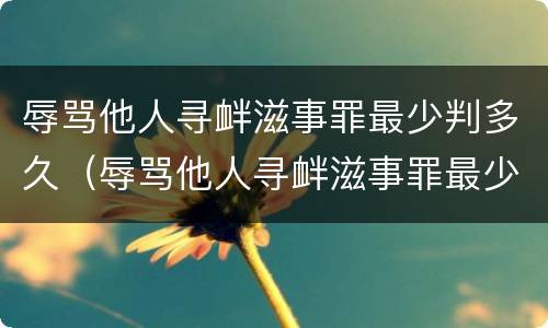 辱骂他人寻衅滋事罪最少判多久（辱骂他人寻衅滋事罪最少判多久呢）