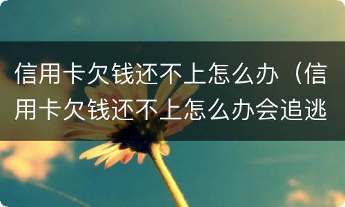 信用卡欠钱还不上怎么办（信用卡欠钱还不上怎么办会追逃吗）