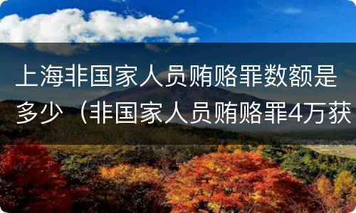 上海非国家人员贿赂罪数额是多少（非国家人员贿赂罪4万获刑）