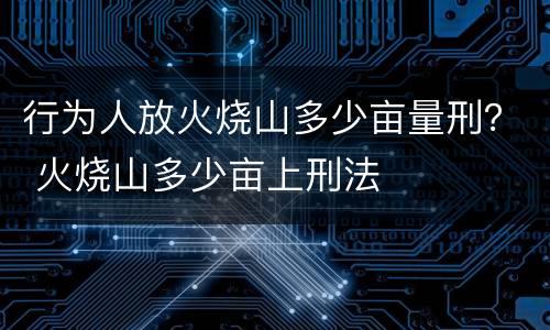 行为人放火烧山多少亩量刑？ 火烧山多少亩上刑法