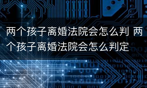 两个孩子离婚法院会怎么判 两个孩子离婚法院会怎么判定