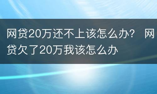 网贷20万还不上该怎么办？ 网贷欠了20万我该怎么办