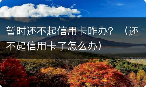 暂时还不起信用卡咋办？（还不起信用卡了怎么办）