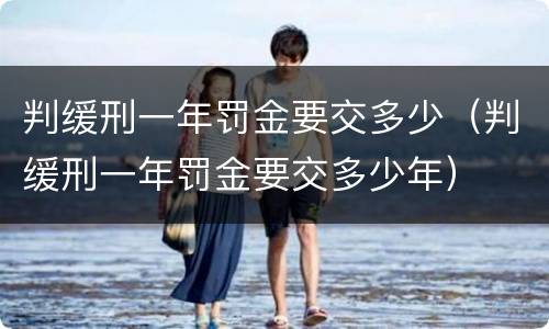 判缓刑一年罚金要交多少（判缓刑一年罚金要交多少年）