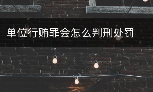 单位行贿罪会怎么判刑处罚