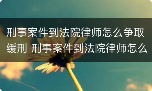 刑事案件到法院律师怎么争取缓刑 刑事案件到法院律师怎么争取缓刑的
