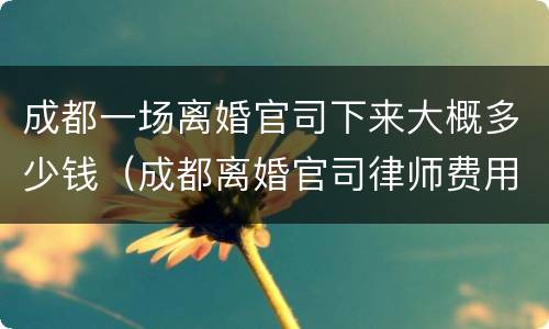 成都一场离婚官司下来大概多少钱（成都离婚官司律师费用收取标准）
