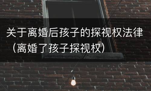 关于离婚后孩子的探视权法律（离婚了孩子探视权）