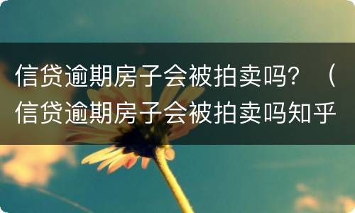 信贷逾期房子会被拍卖吗？（信贷逾期房子会被拍卖吗知乎）