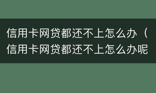 信用卡网贷都还不上怎么办（信用卡网贷都还不上怎么办呢）