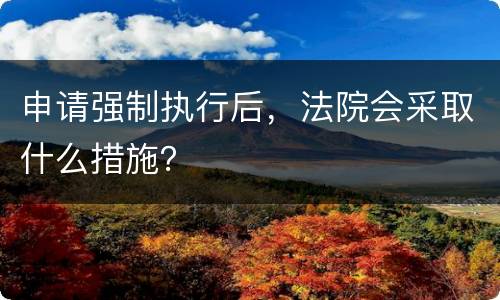 申请强制执行后，法院会采取什么措施？