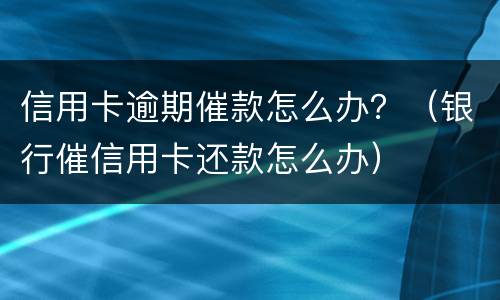 信用卡逾期催款怎么办？（银行催信用卡还款怎么办）