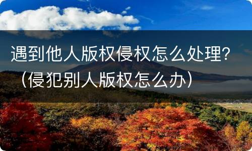 遇到他人版权侵权怎么处理？（侵犯别人版权怎么办）