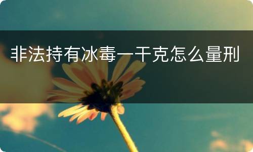 非法持有冰毒一干克怎么量刑