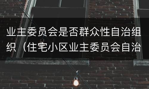 业主委员会是否群众性自治组织（住宅小区业主委员会自治管理小区可以吗）