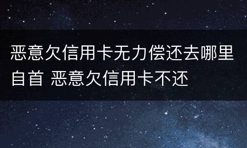 恶意欠信用卡无力偿还去哪里自首 恶意欠信用卡不还