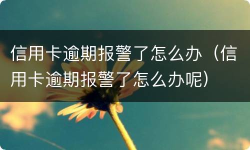 信用卡逾期报警了怎么办（信用卡逾期报警了怎么办呢）