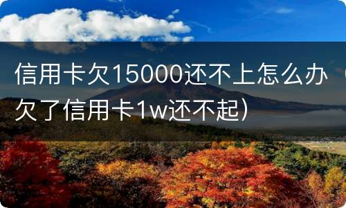 信用卡欠15000还不上怎么办（欠了信用卡1w还不起）