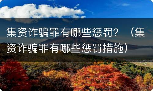 集资诈骗罪有哪些惩罚？（集资诈骗罪有哪些惩罚措施）