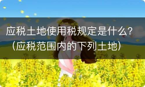 应税土地使用税规定是什么？（应税范围内的下列土地）