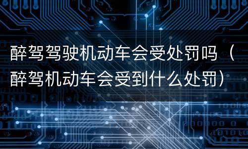 醉驾驾驶机动车会受处罚吗（醉驾机动车会受到什么处罚）