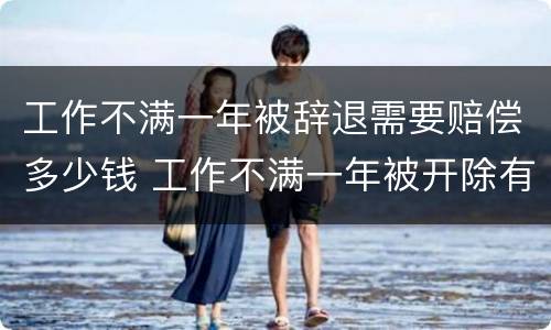 工作不满一年被辞退需要赔偿多少钱 工作不满一年被开除有补偿吗