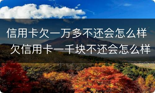 信用卡欠一万多不还会怎么样 欠信用卡一千块不还会怎么样