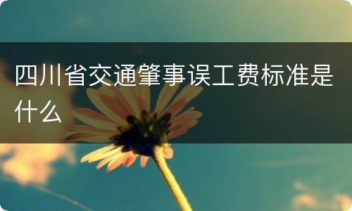四川省交通肇事误工费标准是什么