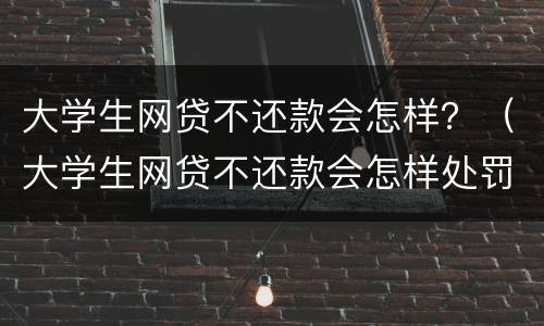 大学生网贷不还款会怎样？（大学生网贷不还款会怎样处罚）