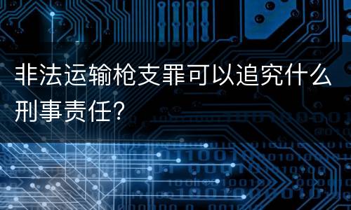 非法运输枪支罪可以追究什么刑事责任?